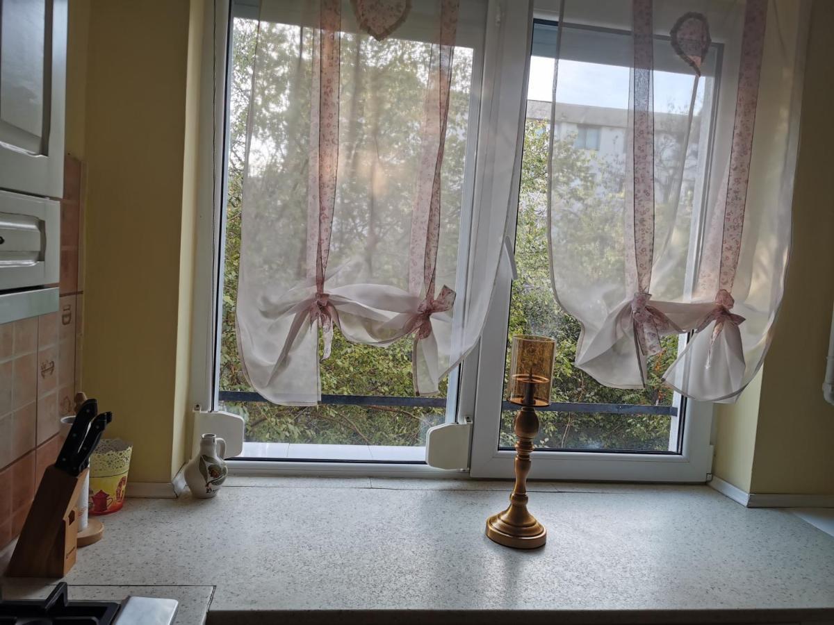 Chic Apartment Brăila Dış mekan fotoğraf